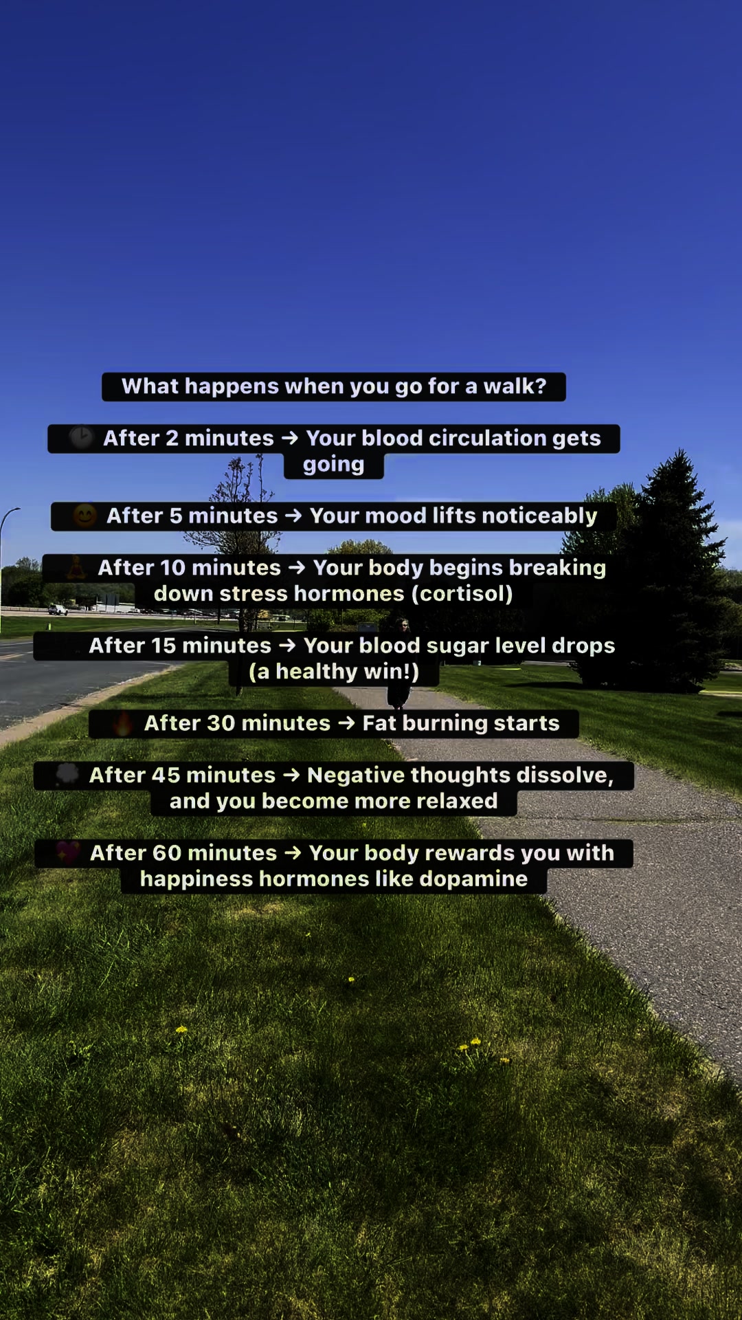 Your walk does so much more than move your body.💖 It clears your mind.💧 Boosts your mood.  And when you add Hydrated? Game-changer.  This isn’t just water—it’s deep cellular hydration that actually makes a difference. Comment ‘WALK’ and I’ll share my July special—$50 off my favorite bundle!